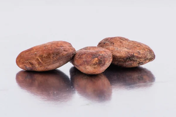 Chocolade stukjes cacaobonen geïsoleerd op witte achtergrond — Stockfoto