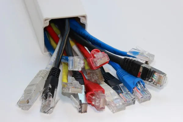 farklı renklerde izole Internet ağ kabloları
