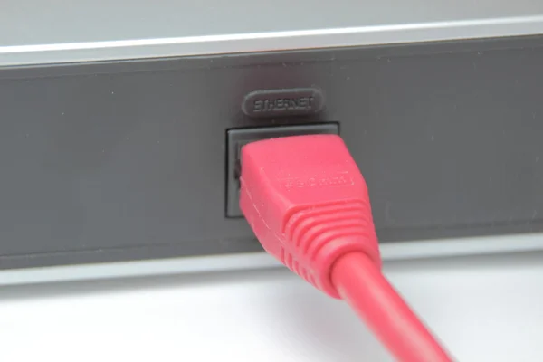 Red web cable connected to internet port on router — Stock Photo, Image