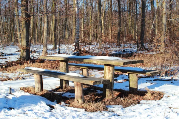 Wooden forest table in winter with snow
