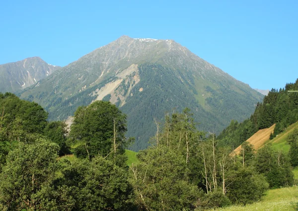 Blick auf Berg und Wald in den Alpen — Stockfoto