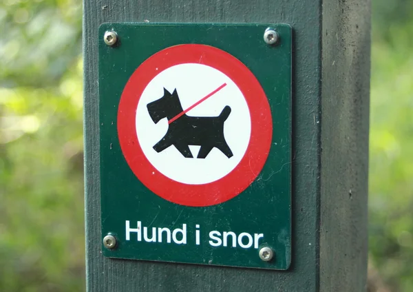 El letrero en el bosque prohíbe perros sin correa —  Fotos de Stock