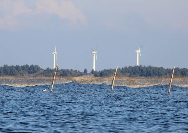 Offshore fishing net and coast line with windmills — Stock Photo, Image