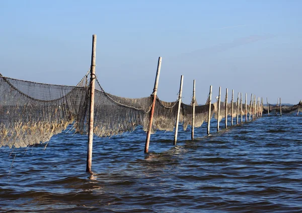 Vista panoramica della rete da pesca montata su pali di legno — Foto Stock