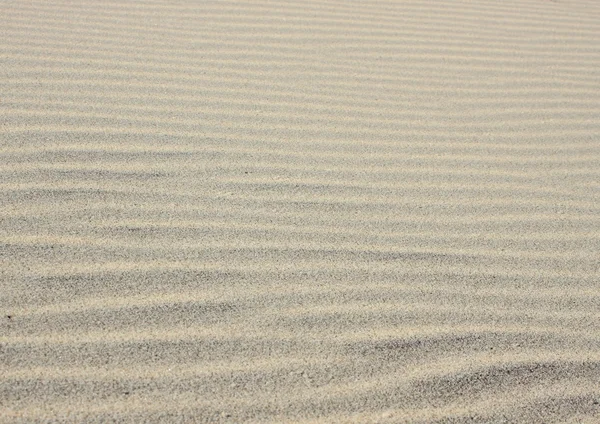 Isolated horizontal  sand wave texture at beach — Stock Photo, Image