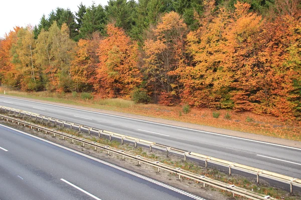 Autostrada vuota attraverso la foresta autunnale con bellissimi colori — Foto Stock