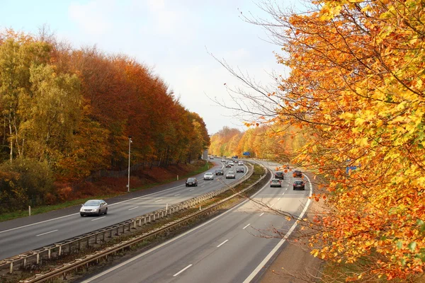 Autostrada trafficata attraverso la foresta autunnale con bellissimi colori — Foto Stock