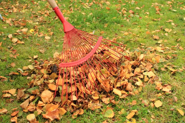 Hrabání listí z podzimní zahradní Stock Fotografie