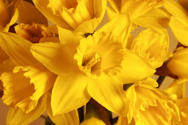 Gros plan sur bouquet avec jonquilles jaunes — Photo