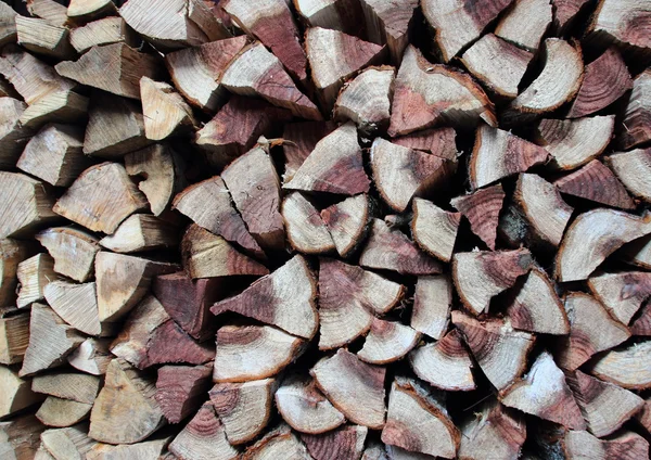 Pile of fire wood with two colors — Stock Photo, Image