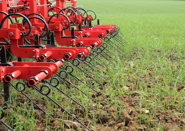 Grade no campo de cultivo verde após a precipitação — Fotografia de Stock