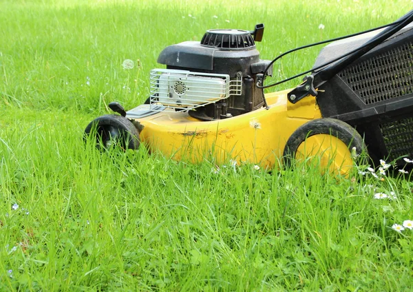 Lawn mover cutting high grass in garden — Stock Photo, Image