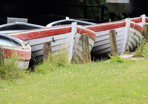 Ligne de bateaux à rames dans l'eau au champ d'herbe — Photo
