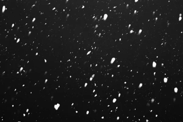 Zware Sneeuwval Sneeuw Valt Tegen Lucht Sneeuwvlokken Vliegen Winter Sneeuwval — Stockfoto