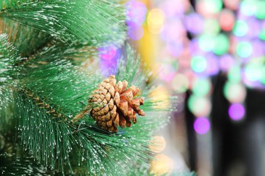 Noel ışıklarının arka planında bir çam dalı üzerinde bir koni.