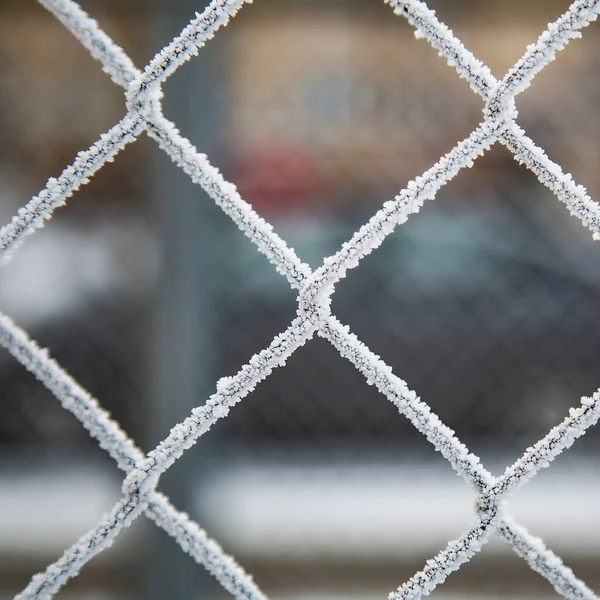 Kışın metal çitler. Çitteki kar... Donmuş çit. — Stok fotoğraf