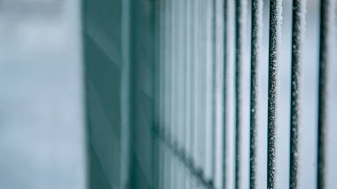 Geçmişi. Kışın metal çitler. Yakın plan. Demir çit dondu..