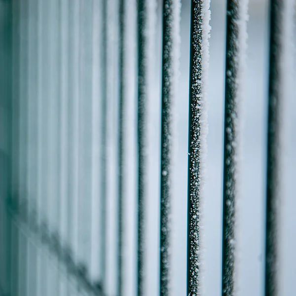 Metal fence close-up. Iron fence in winter. — Stock Photo, Image