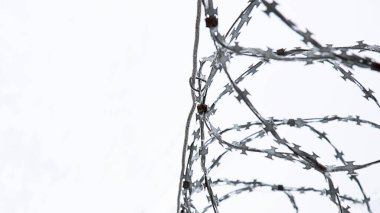 Arka planda dikenli tel var. Çitleri yakın çekin. Çit yakında..