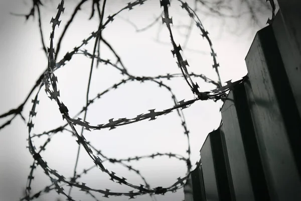 Zaun Mit Stacheldraht Großaufnahme Zaun Geschlossener Bereich Gefängnis Schutzgebiet Hintergrund — Stockfoto