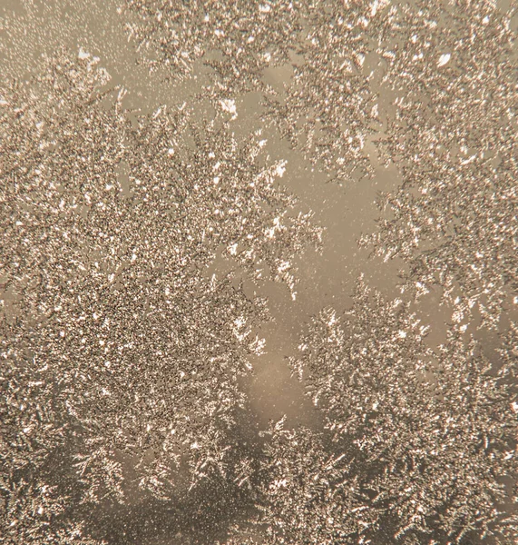 Winter background. Lots of snowflakes. Texture. Close-up. Frost. Winter. Macro photo of snowflakes.