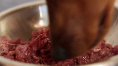 Köpek tabaktan et yiyor. Makro. Bir evcil hayvan doğal yemek yiyor..