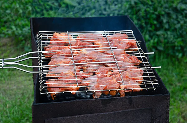 Rå fläsk steks på en metallgrill. Matlagning grill på grön gräsmatta. — Stockfoto