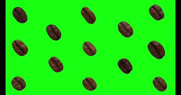 Coffee pattern on a green background. The fruits of the coffee tree. Isolate. — Stock Video