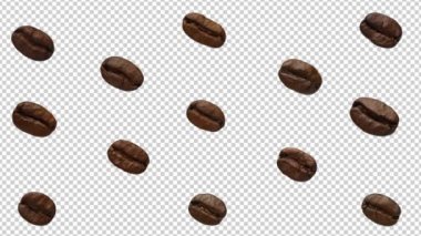  Yeşil arka planda kahve deseni. Kahve ağacının meyveleri. İzole et.