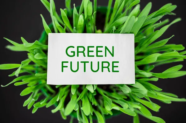 Top Kilátás Zöld Szöveges Zöld Jövő Öko Ökológia — Stock Fotó