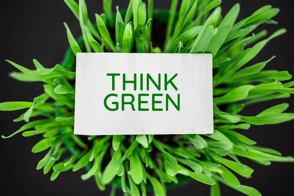 Top Kilátás Zöld Szöveges Gondolkodás Zöld Öko Ökológia — Stock Fotó
