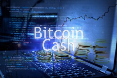 Bilgisayara karşı Bitcoin para yazıtları ve kod geçmişi. Kripto para birimi kavramı.