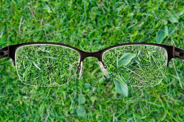 Textura Grama Verde Focada Quadro Óculos Das Mulheres Vista Através — Fotografia de Stock