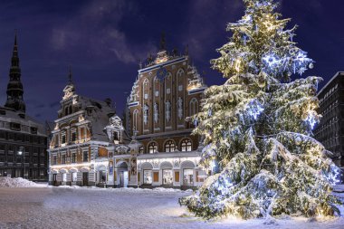 Geceleyin aydınlatılmış Noel ağacı. Kasaba meydanı, Kara Kafalar Evi ve kışın Noel ağacı, eski kasaba Riga, Letonya. Riga 'nın Noel kartı.