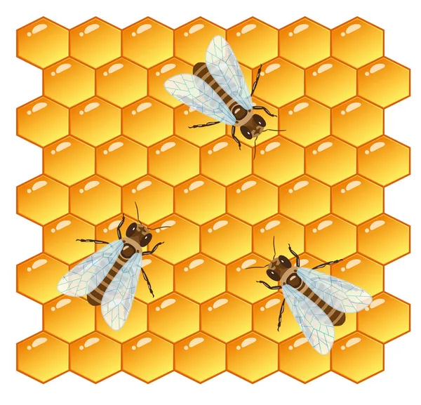 Pszczoły i o strukturze plastra miodu — Wektor stockowy