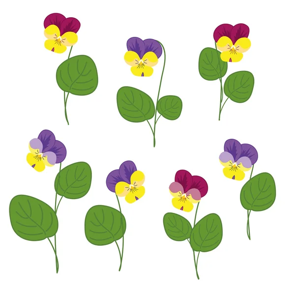 Violetas forestales sobre fondo blanco — Vector de stock