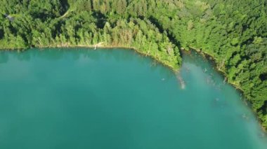 Aerial top-down flight over the amazing small lake of a perfectly round shape. Cloudy sky reflected in the clear turquoise water of a pond surrounded by trees and plants. 