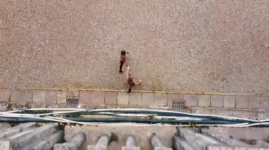 CHERNIVTSI, UKRAINE Aerial view of Yury Fedkovych National University in Chernivtsi. Morning cityscape with foggy haze. Architectural monuments in western Ukraine. 