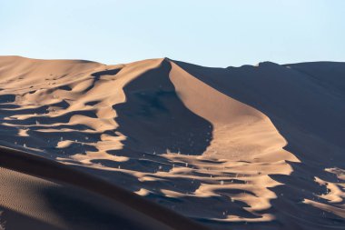 Doğa ve manzaranın manzarası gösterişli ya da sahara çölünde. Orta Doğu Çölü