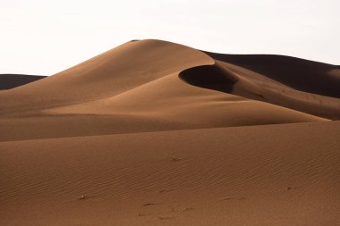Doğa ve manzaranın manzarası gösterişli ya da sahara çölünde. Orta Doğu Çölü