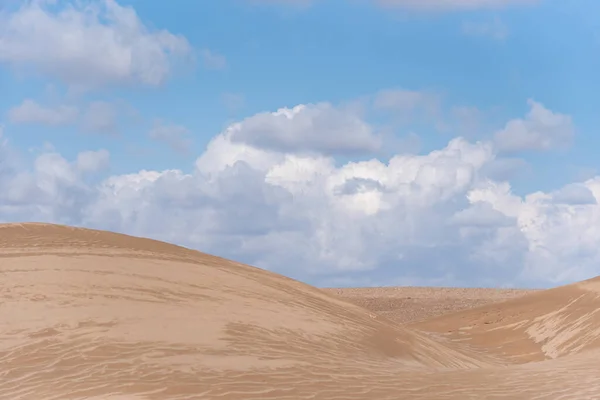 Vista Desde Naturaleza Paisajes Dasht Lut Desierto Sahara Después Lluvia — Foto de Stock