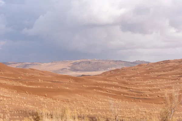 Вид Природы Ландшафтов Пустыни Дешт Лут Сахара Гнилым Тамариском Ближневосточная — стоковое фото