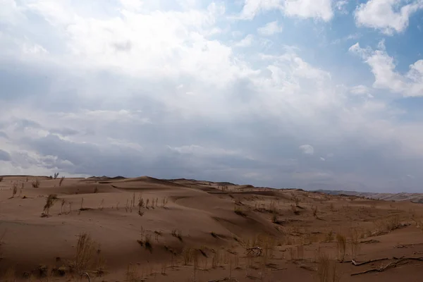 Widok Natury Krajobrazów Kreski Lut Lub Sahara Pustyni Zgniłym Drzewem — Zdjęcie stockowe