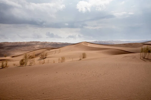 Widok Natury Krajobrazów Kreski Lut Lub Sahara Pustyni Zgniłym Drzewem — Zdjęcie stockowe