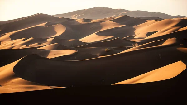 Doğa Manzaranın Manzarası Gösterişli Sahara Çölünde Orta Doğu Çölü — Stok fotoğraf