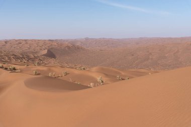 Sahara Çölü 'nde kum tepeciklerinin oluşumu. Doğa ve manzaralar çöl.