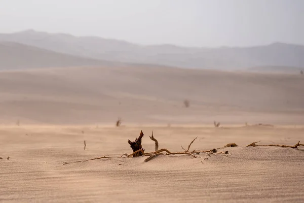 Burzliwa Pogoda Pustyni Dasht Lut Lub Sahara Natura Krajobrazy Pustyni — Zdjęcie stockowe