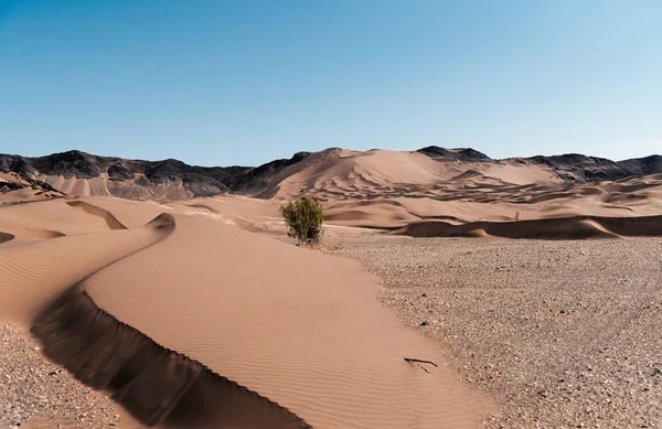 Formación Dunas Arena Parte Oriental Del Salpicadero Desierto Sahara Con —  Fotos de Stock
