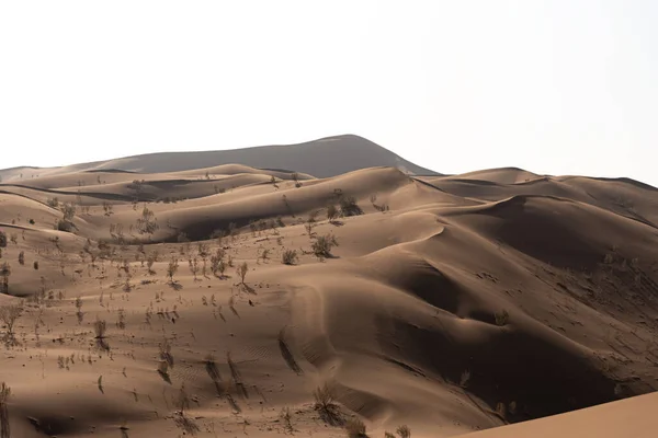 Vista Natureza Paisagens Dasht Lut Deserto Saara Com Tamarisk Podre — Fotografia de Stock