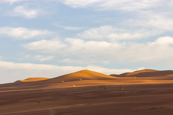 Formation Sand Dunes Dasht Lut Sahara Desert Sunrise Sand Patterns — Stock Photo, Image